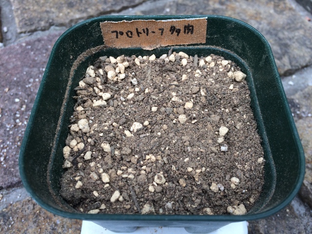 プロトリーフ サボテン多肉植物の土