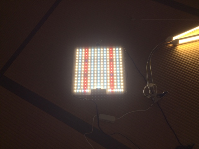 GREENSINDOOR LED植物育成ライト UV/IR LED 1000W相当