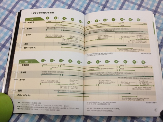多肉植物 サボテン NHK趣味の園芸　12か月栽培ナビNEO