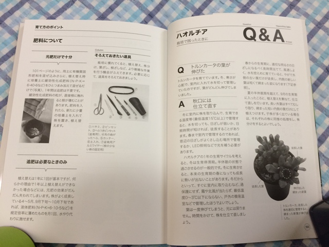 多肉植物ハオルチア NHK趣味の園芸　12か月栽培ナビNEO (NHK出版新書)