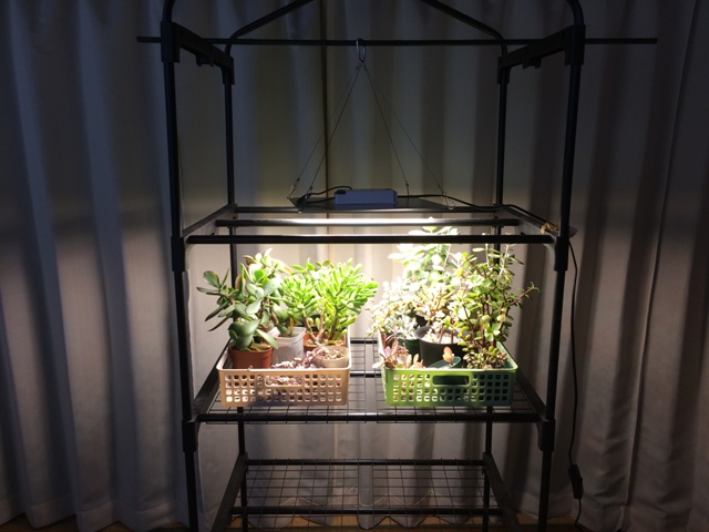 HOMUTE 600W 植物成長ライトIRとUVを含むフルスペクトルLED植物育成用ライト